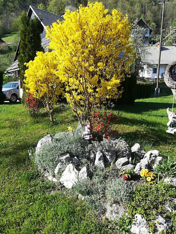 Apartments & Rooms Stare Bohinj Exterior foto